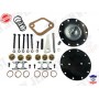 KIT REPAIR FUEL PUMP 6 VALVES DODGE
