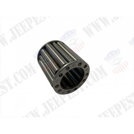 BEARING MAIN PINION INSIDE