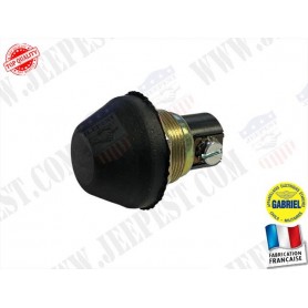 SWITCH STARTER 24V "GABRIEL LYON" NET