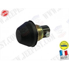 INTERRUPTEUR DEMARREUR 24V "GABRIEL LYON" NET