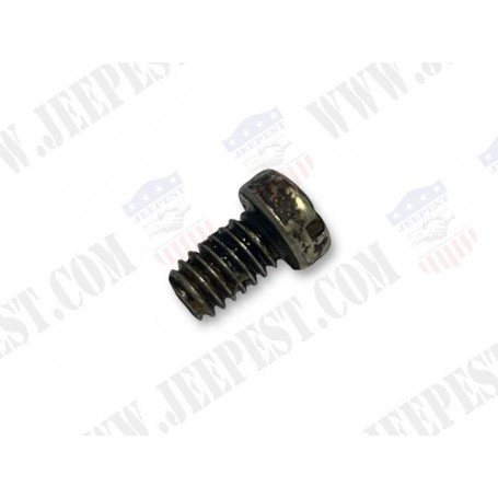 SCREW FIXING CARBURETOR CHOKE WIRE CLAMP