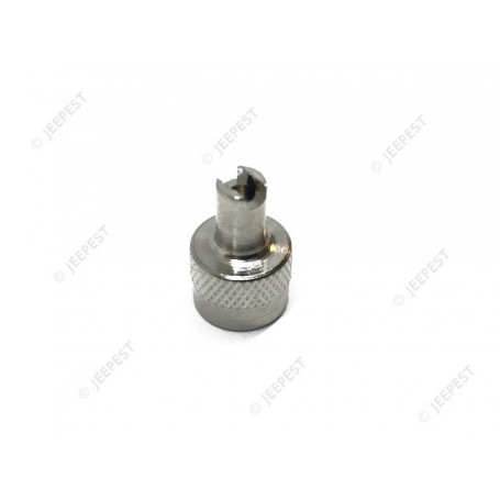 CAP TIRE VALVE