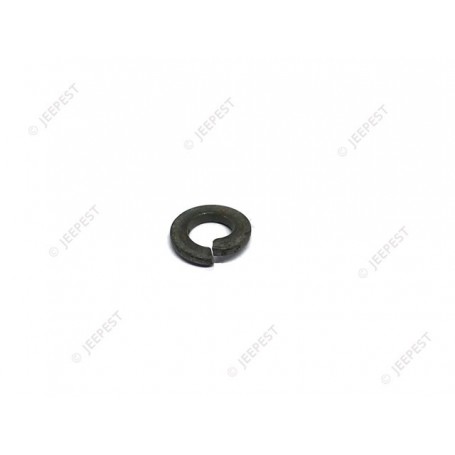 WASHER GROWER 1/4