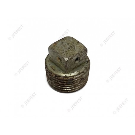PLUG OIL FILLER AXLE JEEP