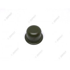 CAP HUB FORD MARKED