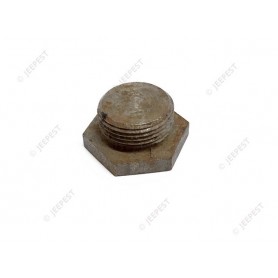 PLUG OIL PAN DRAIN 7/8"