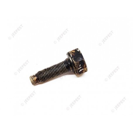 VIS CUVE FILTRE ESSENCE