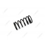 SPRING FUEL FILTER ELEMENT