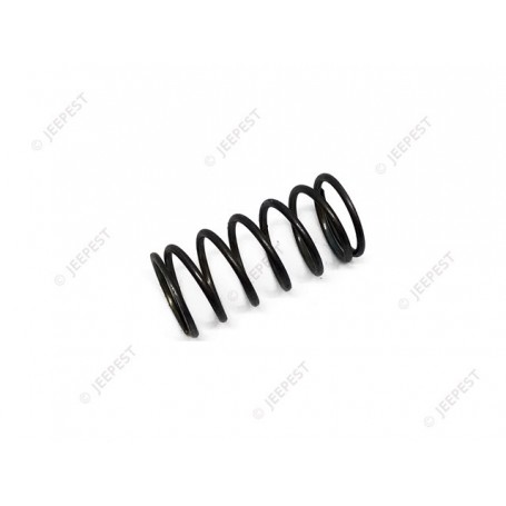 SPRING FUEL FILTER ELEMENT