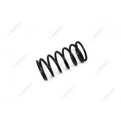 SPRING FUEL FILTER ELEMENT