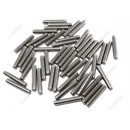 BEARING ROLLER INTERM GEAR DIA31MM (SET OF 48)M201
