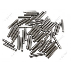 BEARING ROLLER INTERM GEAR DIA31MM (SET OF 48)M201