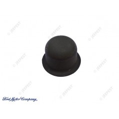 CAP HUB GPW NEW OLD STOCK
