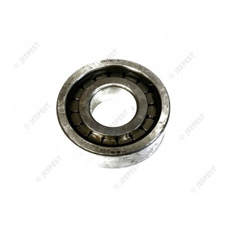 BEARING PINION SMALL AXLE BANJO 1306