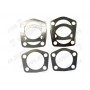 SHIM ADJUSTING PIVOT BEARING (SET)