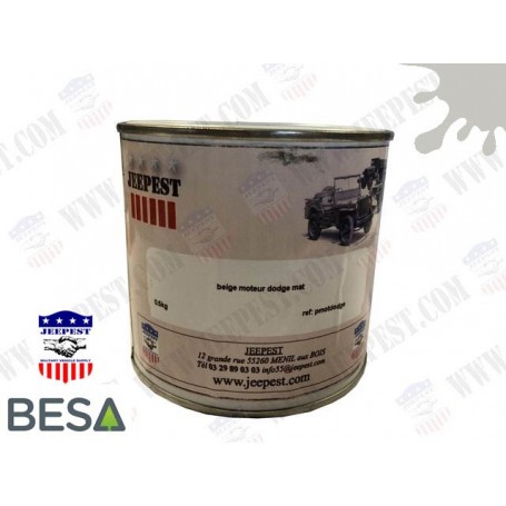PEINTURE BEIGE MOT DODGE MAT /0.5KG