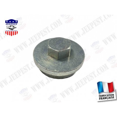 PLUG COVER MASTER BRAKE CYLINDER "MADE IN FRANCE"