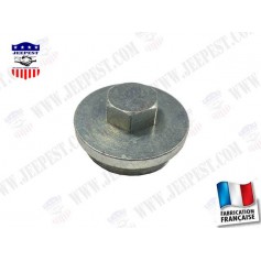 PLUG COVER MASTER BRAKE CYLINDER "MADE IN FRANCE"