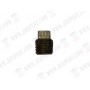 PLUG FILLER MASTER CYLINDER