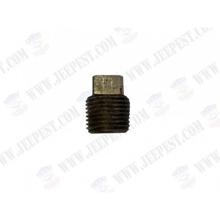 PLUG FILLER MASTER CYLINDER